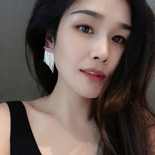 18K Heavy Metal Snake Bones Chain Line Tassel Earrings Urban Sale